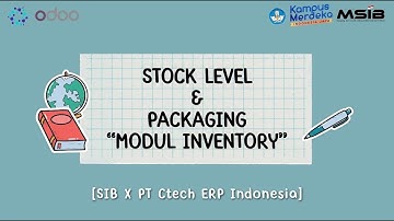 Odoo 16 - Stock Level dan Packaging Modul Inventory [SIB X PT Ctech ERP INDONESIA]