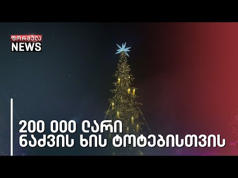 139 ტოტს ამატებს მერია, იმ ნაძვის ხეს, რომელშიც გასულ წელს მილიონი ლარი გადაიხადა