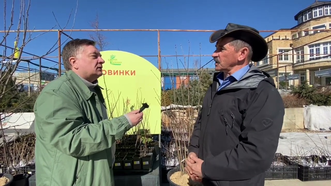 Садко питомник саженцев тарасовка. Садко питомник саженцев. Садко питомник в Некрасовке. Питомник Садко в Тарасовке. Садко питомник директор.