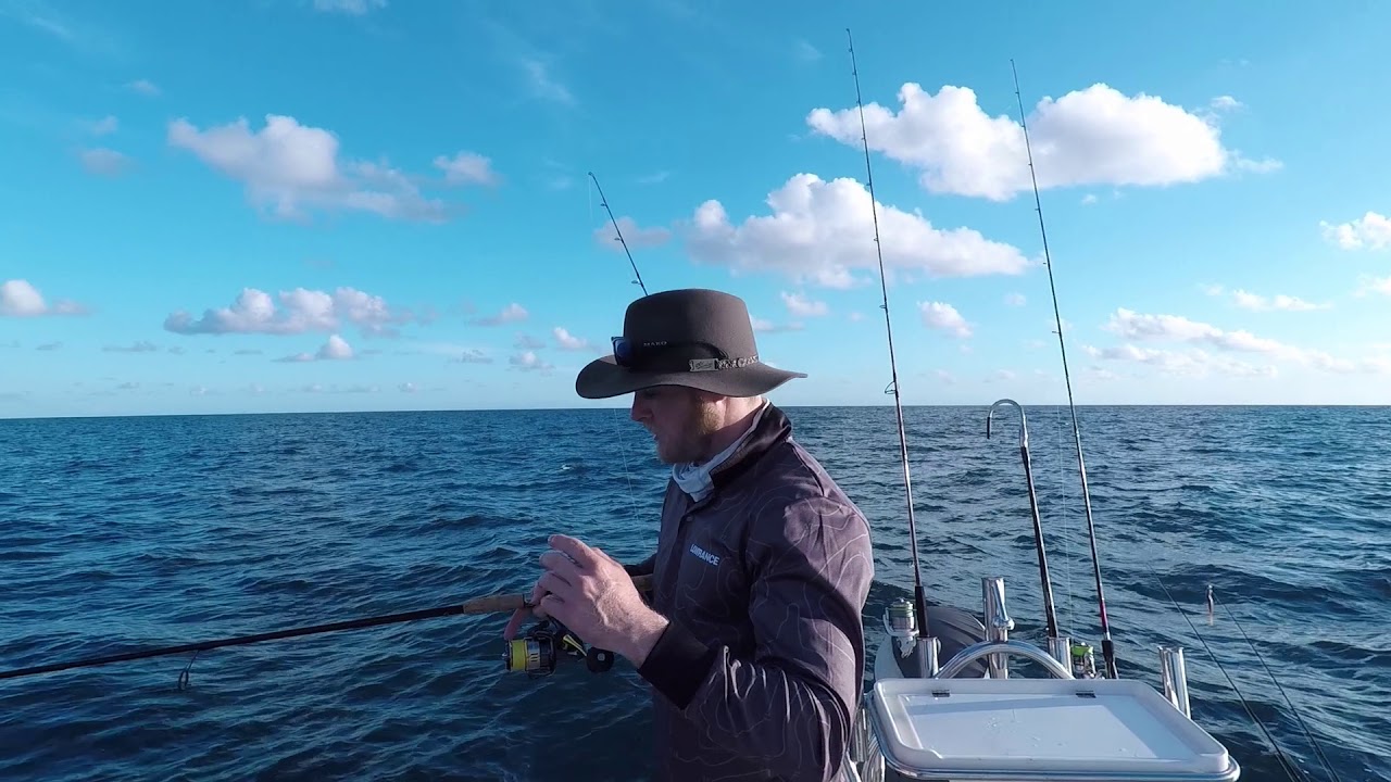 Livebaiting for Pelagics | Fisho App