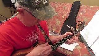 Don't Hurt Yourself Playing Ukulele.