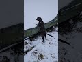 Silly Puppy Playing on a Snowy Day