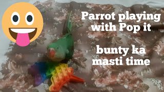 Parrot Playing With Pop It ...