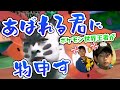 【炎上確定】あばれる君にポケモン世界チャンプ兄弟が物申す【ポケモン剣盾】【ゲーム実況】