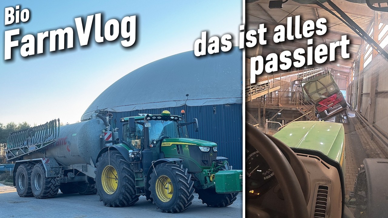 die Ruhe ist vorbei.. das ist im letzten Monat passiert / Vlog 216