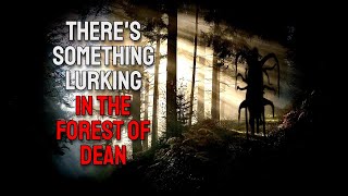 Sleeping Rough in the Forest of Dean