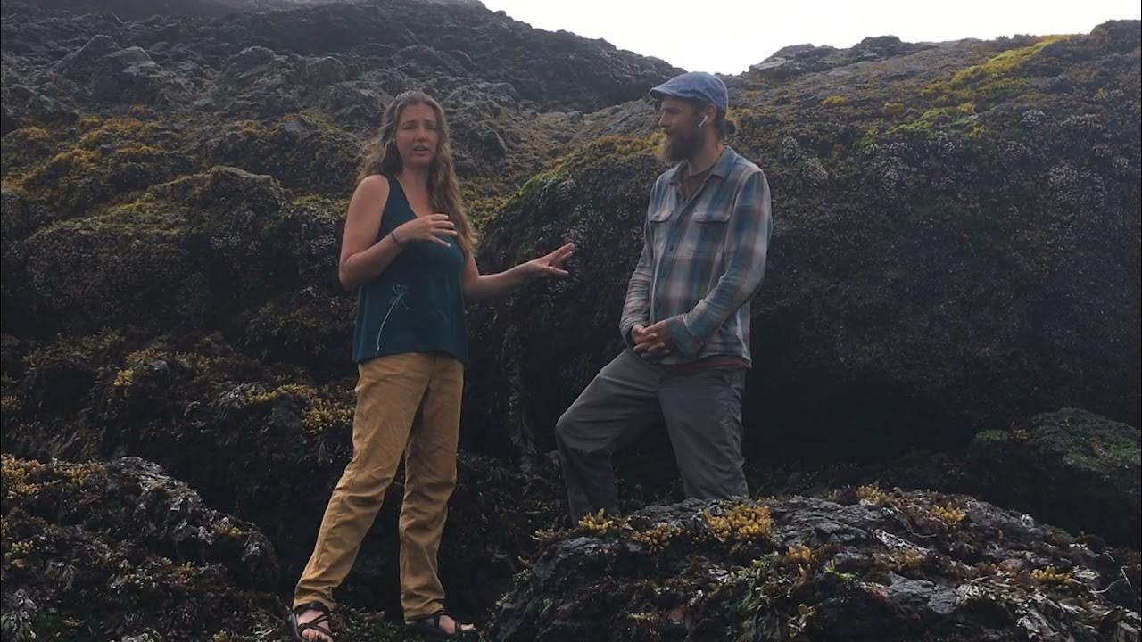 Angela Willard on Seaweed Medicine Interview with Herbal Jedi YouTube