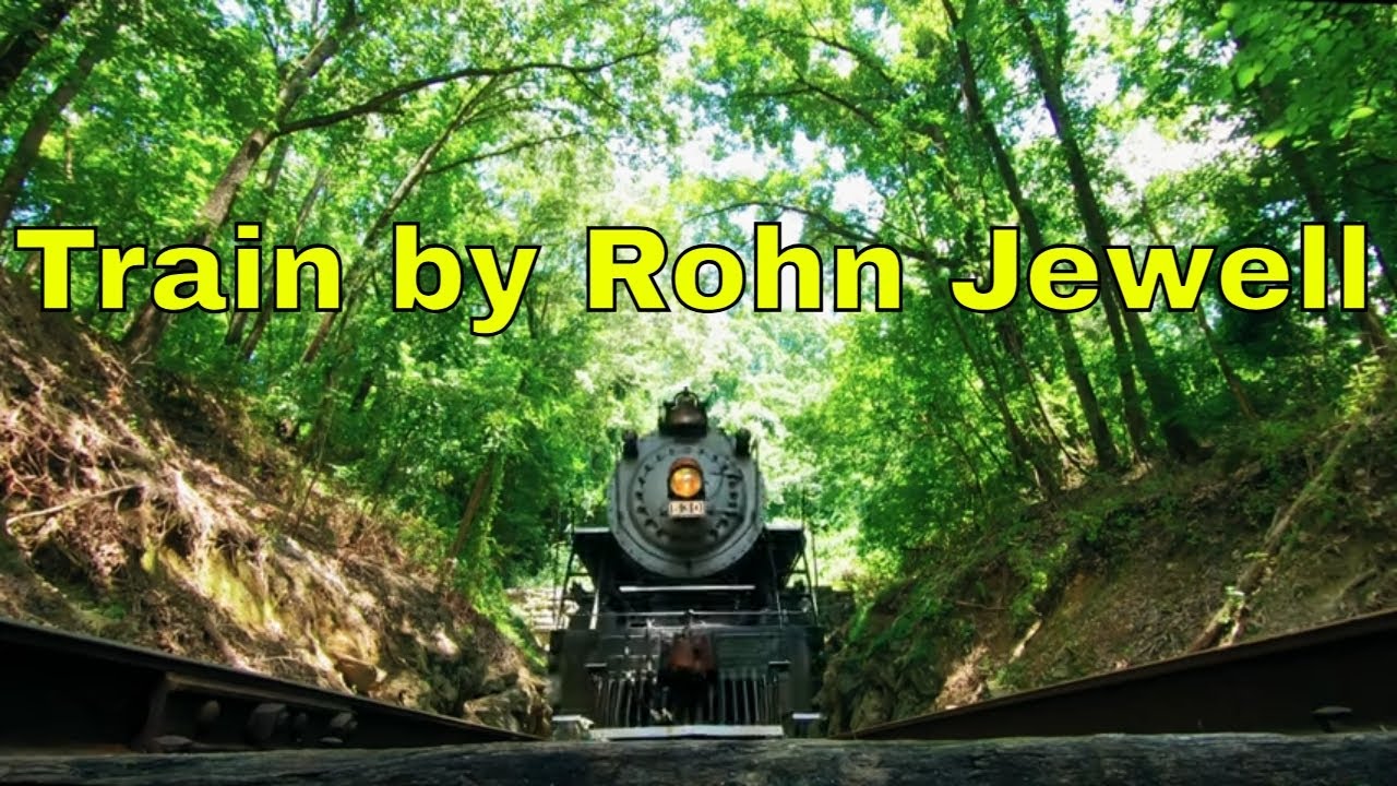 TRAIN by Rohn Jewell ~ DancesWithPitBulls ~