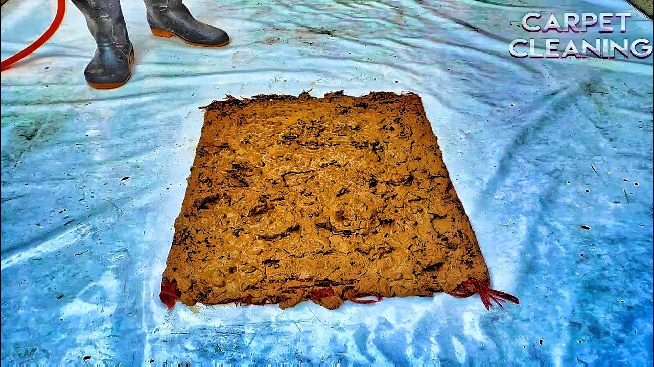 From Rags to Riches: Restoring a Round Rug Engulfed in Trash and Muddy ...