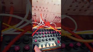 Analogue Solutions Colossus Slim | Single Sequence Recorded Live #shorts
