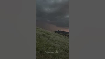 القارئ اسامة بداوي #قرآن