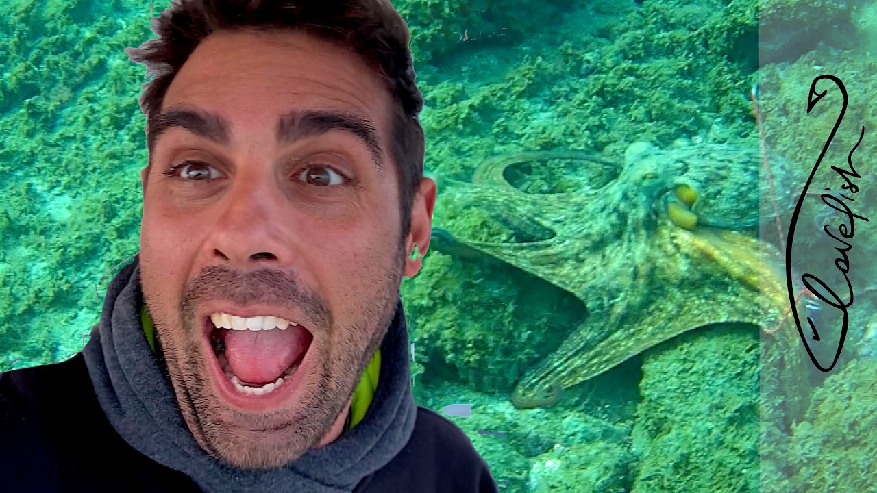 I grossi polpi di dicembre