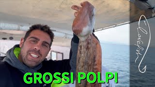 I grossi polpi di dicembre