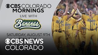 Savannah Bananas tickets sparking scams, officials warn fans to buy from trusted sources