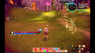 TERA | Twayne | Human Warrior | Non Attack Flow