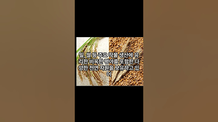 세상에서 가장 물가가 싼 나라 TOP 3!