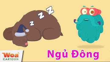 Khám Phá Quá Trình Ngủ Đông Của Động Vật | Phim hoạt hình Khoa học Hay Nhất 2020