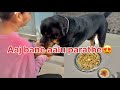 Aalu parathe banaye bruzzo or humnerottweiler dog rottweilerthebruzzo9212