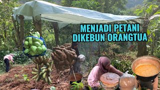 Download Lagu MEMASAK GULA AREN DI KEBUN🪹MENANAM POHON CABAI🌶️MEMETIK BERBAGAI SAYURAN YANG BISA DIJUAL💰 MP3