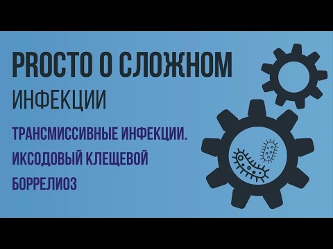 PROСТО О СЛОЖНОМ.Иксодовый клещевой боррелиоз, Инфекционные болезни №5
