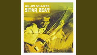 Video thumbnail of "Big Jim Sullivan - Sunshine Superman"