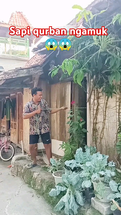 Sapi qurban ngamuk #komedi #funny #shorts