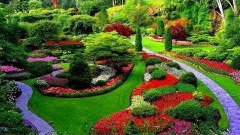 سورة الشمس كاملة للقارئ محمود جبريل #أصوات_راقية