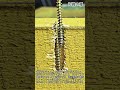 想像を超える2本のビス留め結束テクニック #diy #woodworking #carpentry #screws #tools