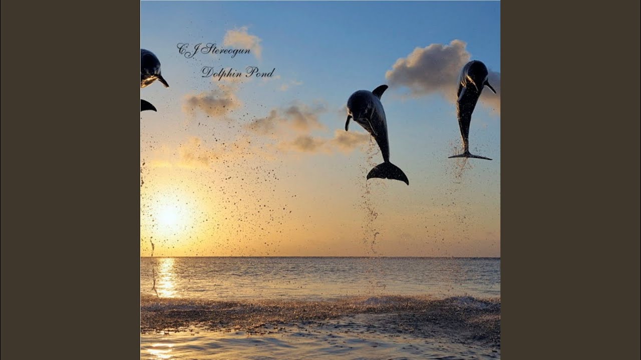 Watch Dolphin Pond (Original Mix) on YouTube Watch Dolphin Pond (Original Mix) on YouTube
