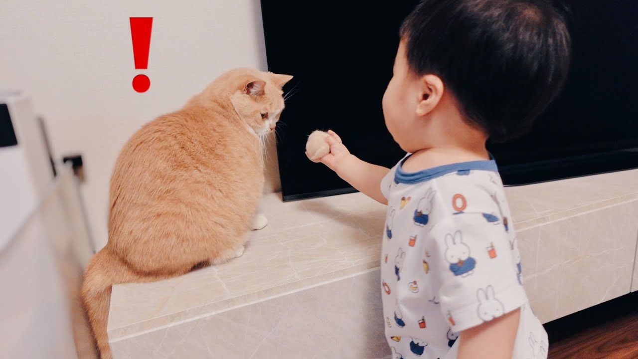 自分の毛玉を赤ちゃんが持ってきたら..