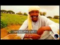 المبدع محمد رابح التوم