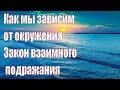 Как мы зависим от окружения? Закон взаимного подражания ... Пестов Н.Е.