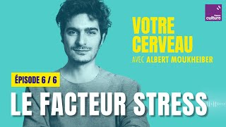 Votre cerveau perd les pédales : le facteur stress, avec Albert Moukheiber (6/6) | saison 1