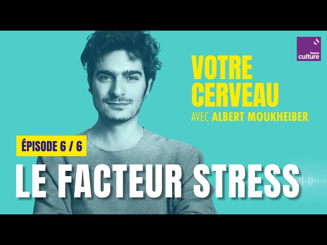 Votre cerveau perd les pédales : le facteur stress, avec Albert Moukheiber (6/6) | saison 1 class=