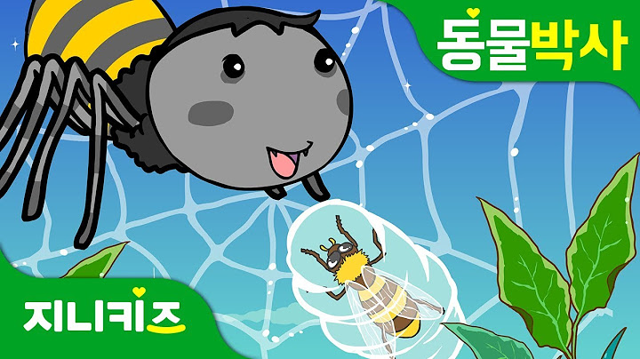 거미의 먹이사냥 | 절지동물 거미 | 거미의 생태 | 동물박사★지니키즈