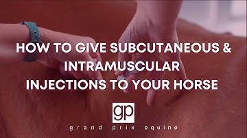How to give your horse subcutaneous and intramuscular injections