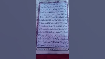 قراءة طيبة ومباركة من سورة النساء ☝️⚘️🌿🤲✨️