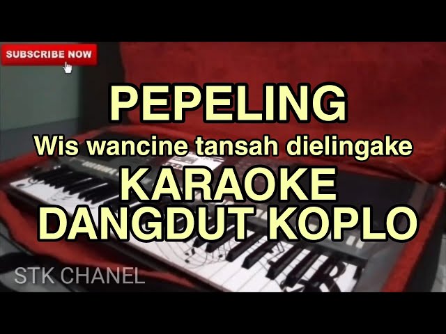 PEPELING ( Campursari ) KARAOKE DANGDUT KOPLO STK CHANEL class=