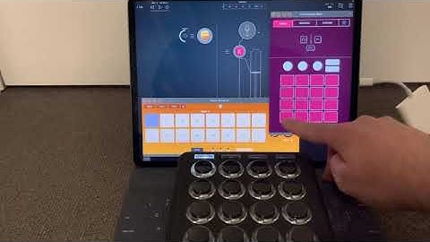 Eucalyptus: Mozaic Script for Koala Sampler (RoundRobin and Velocity Sensitive Multi-Sample Enabler)