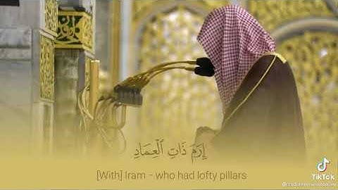 الشيخ عبد المحسن القاسم سورة الفجر