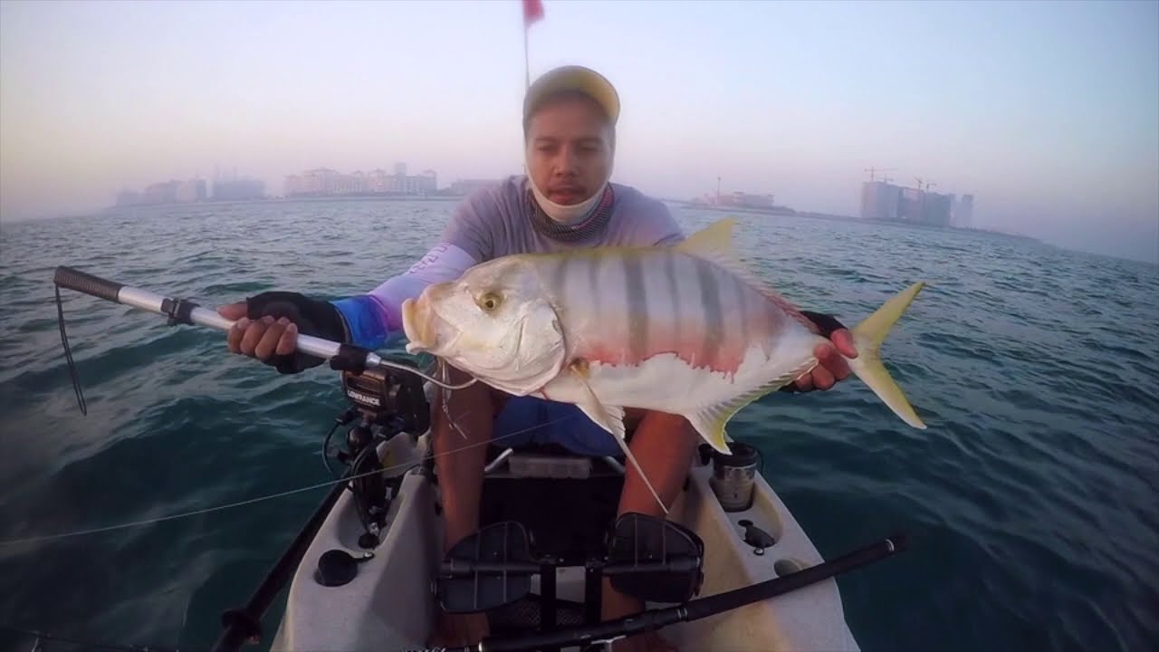 Golden Trevally Fish Caught On Kayak YouTube Golden Trevally Fish Caught On Kayak YouTube