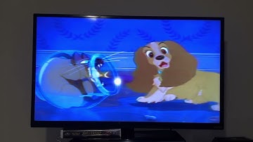 Random Video #37 (Retake)