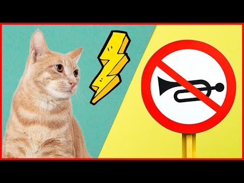 Video: Knisternde Alufolie Und Andere Geräusche Können Bei Katzen Krampfanfälle Verursachen