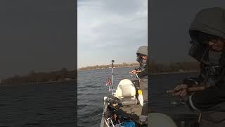 Vertical jigging crappie’s on Lake Osakis.