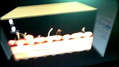 saiyonee_monash ubuntu 9.10 desktop effects