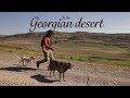 IN THE GEORGIAN DESERT-DAVID GAREJA MONASTERY
