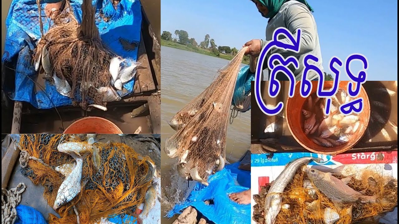 ចុះ2ម៉ោងជាង10kg ត្រីដល់ហើយ ស្រុកខ្ញុំបាទ The Best Fishing Videos 2026 | #783