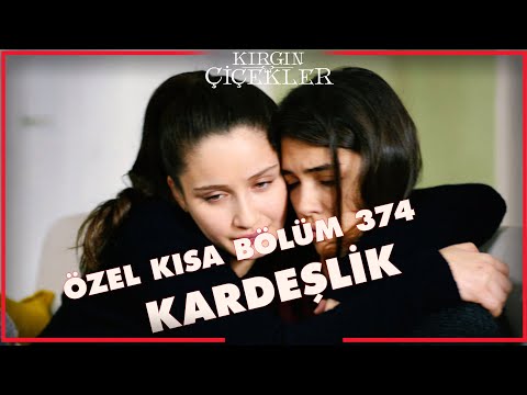 Kırgın Çiçekler Özel Kısa Bölümler | 374