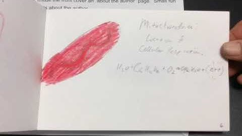 Cell Organelle project instructions