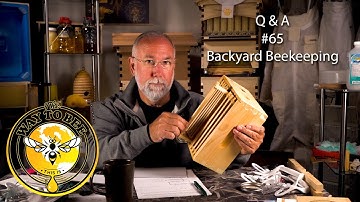 Backyard Beekeeping Questions and Answers 65 June Update Does BetterComb Help?